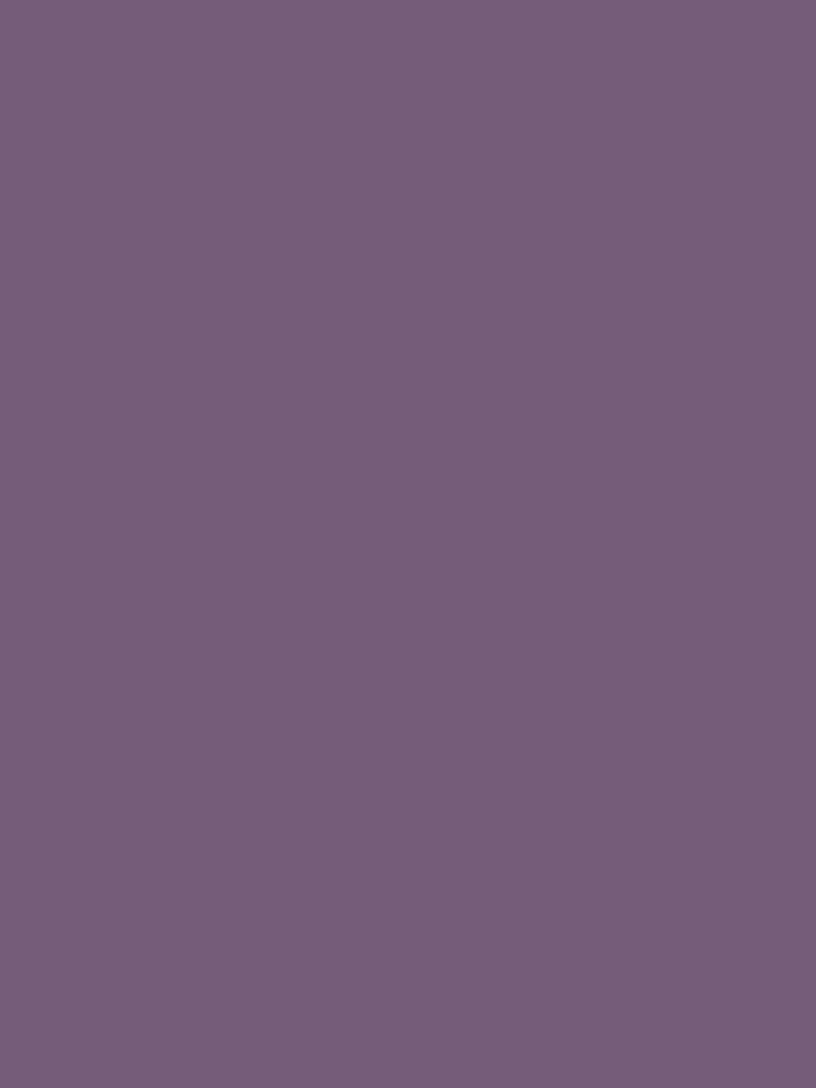 Graham & Brown Plum Pie Purple Resistance Ultra Durable Matt Emulsion Paint - Image 2 of 3