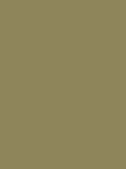 Sanderson Oxney Olive Active Emulsion Paint - Image 1 of 1