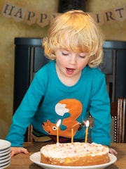 Frugi Blue Organic Cotton 3rd Birthday T-Shirt - Image 1 of 3