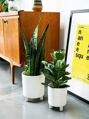 Ivyline White Garden Small Pisa Planter - Image 1 of 4