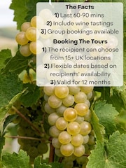 QWERTY Beer Box Vineyard Experience For Two | 20+ UK Locations - Image 2 of 5