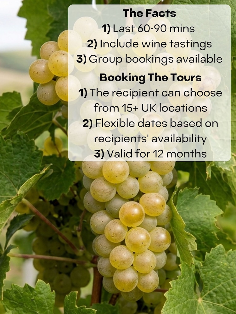 QWERTY Beer Box Vineyard Experience For Two | 20+ UK Locations - Image 2 of 5 QWERTY Beer Box Vineyard Experience For Two | 20+ UK Locations - Image 2 of 5