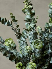 Abigail Ahern Green Artificial Eucalyptus Sage Single Stem - Image 2 of 2