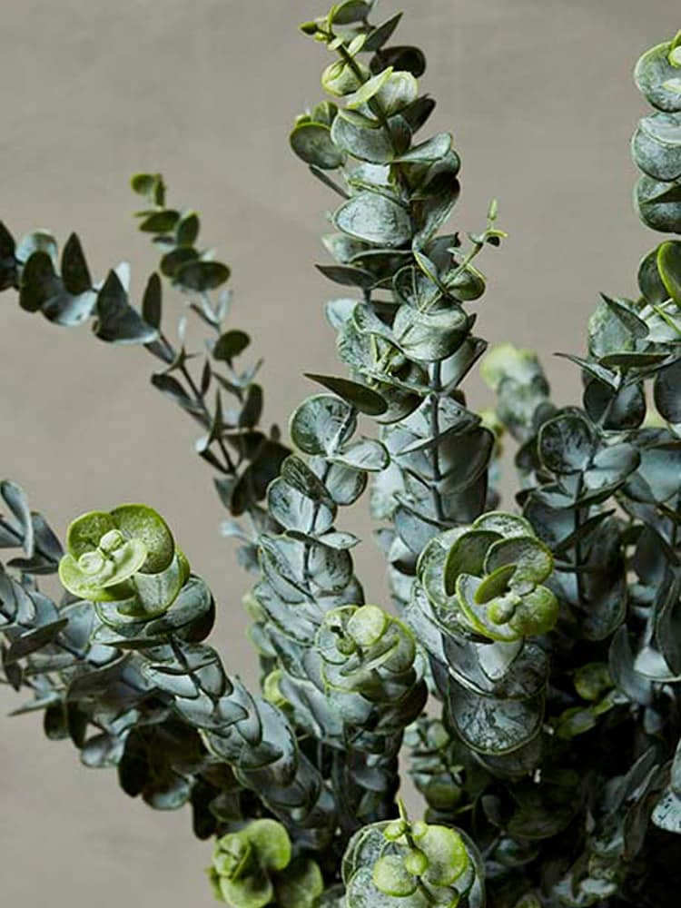 Abigail Ahern Green Artificial Eucalyptus Sage Single Stem - Image 2 of 2
