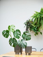 Ivyline Slate Grey Garden Large Pisa Planter - Image 1 of 4
