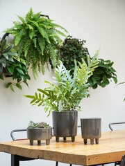 Ivyline Slate Grey Garden Small Pisa Planter - Image 1 of 4