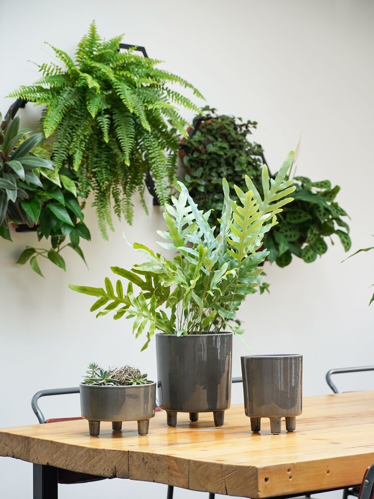 Ivyline Slate Grey Garden Small Pisa Planter - Image 1 of 4