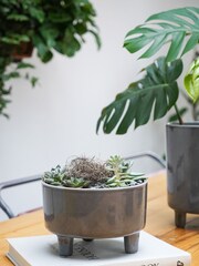 Ivyline Slate Grey Garden Pisa Bowl - Image 1 of 4