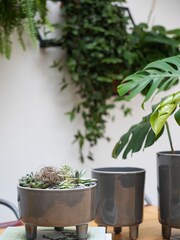 Ivyline Slate Grey Garden Pisa Bowl - Image 2 of 4
