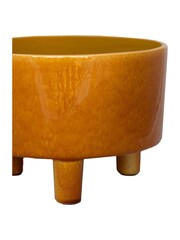 Ivyline Yellow Garden Pisa Mustard Bowl - Image 2 of 4