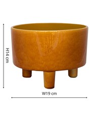 Ivyline Yellow Garden Pisa Mustard Bowl - Image 3 of 4
