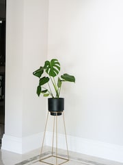 Ivyline Gold Garden Minimo Large Plant Stand - Image 1 of 1