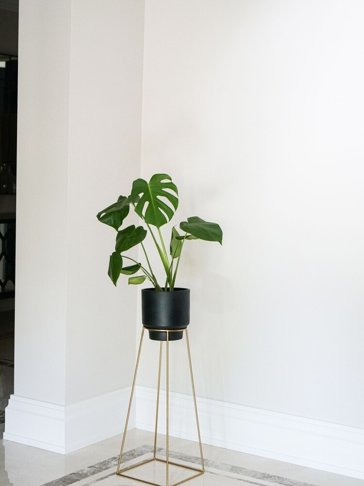 Ivyline Gold Garden Minimo Large Plant Stand - Image 1 of 1
