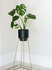 Ivyline Gold Garden Minimo Small Plant Stand - Image 1 of 2