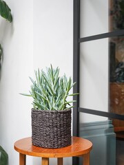 Ivyline Set of 3 Grey Garden Oslo Seagrass Lined Planters - Image 1 of 2