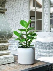 Ivyline White Garden Small Leon Planter - Image 1 of 8