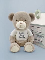 Babyblooms Fathers Day Personalised Teddy Bear Gift - Image 3 of 5