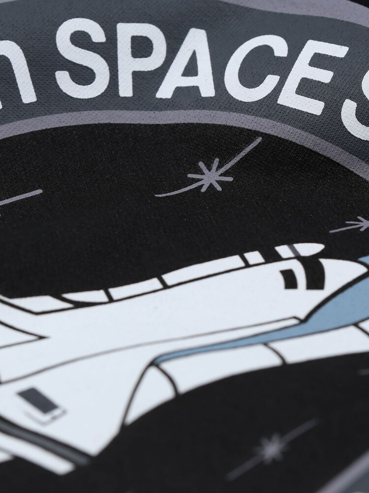 Alpha Industries Space Shuttle 100% Cotton Sweat Top - Image 8 of 9