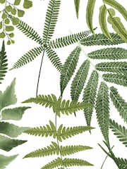 Graham & Brown Lush Fern Green Midsummer 10M Wallpaper - Image 3 of 3