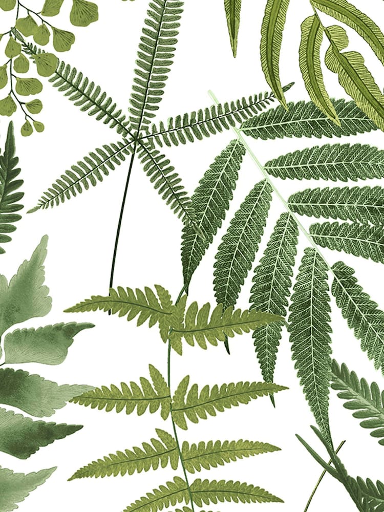 Graham & Brown Lush Fern Green Midsummer 10M Wallpaper - Image 3 of 3