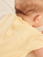 Pastel Pointelle 5 Pack Short Sleeve Baby Bodysuits - Image 2 of 11