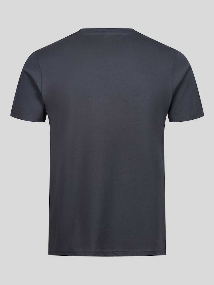 Alpha Industries Grey 100% Cotton Fighter Squadron T-Shirt - Image 2 of 4