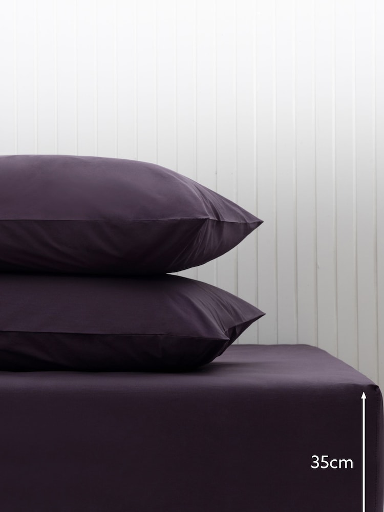 Purple Blackberry Cotton Rich Deep Fitted Sheet - Image 2 of 2