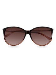 Ted Baker Chocolate Brown Raven Chocolate Sunglasses - Image 1 of 3