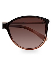 Ted Baker Chocolate Brown Raven Chocolate Sunglasses - Image 3 of 3