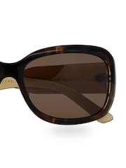Ted Baker Brown Tortoiseshell Charlotte Sunglasses - Image 3 of 4
