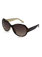 Ted Baker Brown Tortoiseshell Agnes Sunglasses - Image 1 of 4