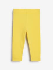 Bright 5 Pack Cotton Leggings (3mths-7yrs) - Image 6 of 8