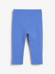 Bright 5 Pack Cotton Leggings (3mths-7yrs) - Image 7 of 8