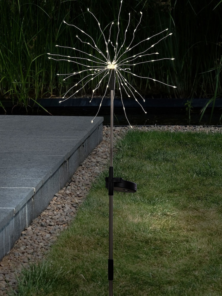 Silver Solar Dandelion Stake Outdoor Light - Image 1 of 7