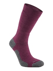 Craghoppers Purple Trek Socks - Image 1 of 1