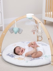 aden + anais White Play + Discover Baby Activity Gym - Image 1 of 6