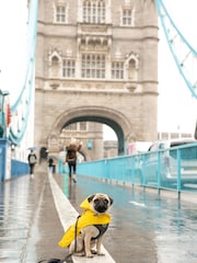 Grey Hugo & Hudson Grey Checked Herringbone Dog Lead - Image 1 of 1