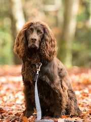 Blue Hugo & Hudson Blue Herringbone Dog Lead - Image 1 of 5