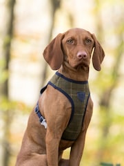 Green Hugo & Hudson Green Checked Tweed Dog Harness - Image 1 of 1