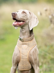 Hugo & Hudson Brown Dog Harness - Image 1 of 4