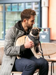 Hugo & Hudson Grey Dog Harness - Image 1 of 4