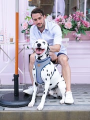 Blue Hugo & Hudson Blue Stripe Dog Harness - Image 1 of 1