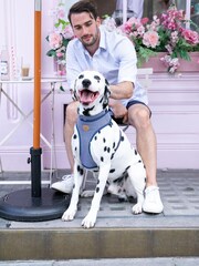 Blue Hugo & Hudson Blue Navy Stripe Dog Collar - Image 1 of 4