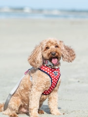 Red Hugo & Hudson Red Star Dog Harness - Image 1 of 4
