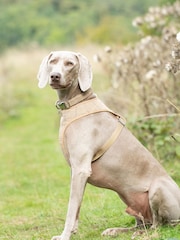 Brown Hugo & Hudson Brown Checked Herringbone Dog Collar - Image 1 of 4