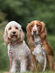 Brown Hugo & Hudson Brown Multicoloured Dog Lead - Image 1 of 4