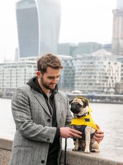 Grey Hugo & Hudson Grey Checked Herringbone Dog Collar - Image 1 of 4