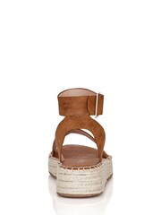 City Chic Brown Melody Platform Shoes - Image 2 of 4