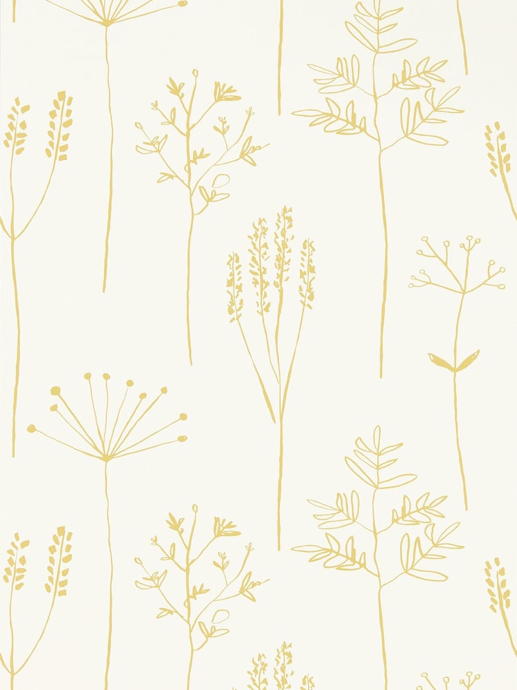 Scion Yellow Stipa Wallpaper - Image 1 of 1