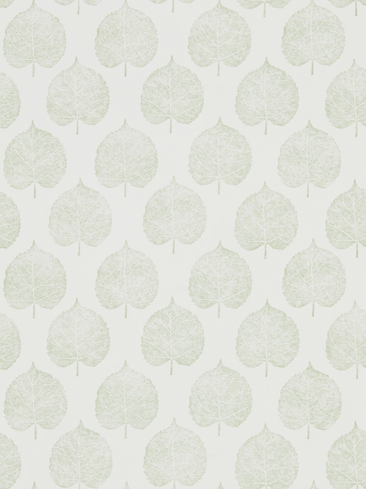 Sanderson Home Green Lyme Leaf Paste The Wall - Image 1 of 1